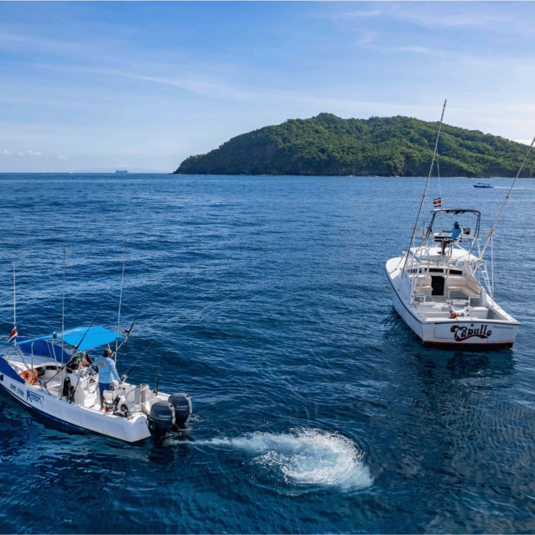 Exploring Costa Rica's Seafood Delights: A Guide to the Best Fish to ...