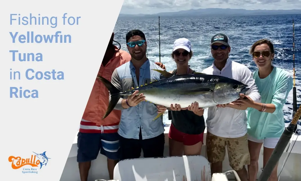 Yellowfin Tuna: Catching and Understanding Yellowfin Tuna Fishing in Costa  Rica 2023 - Capullo Sport Fishing